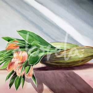 Buy Akorela Product MR08AA01 “Pink Tulips”