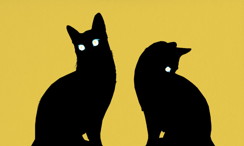 Black cats | Akorela